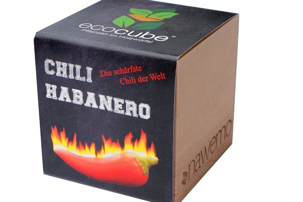 Chili anbauen, beste Chili selber machen, Chilianbau, Geschenke für Partner