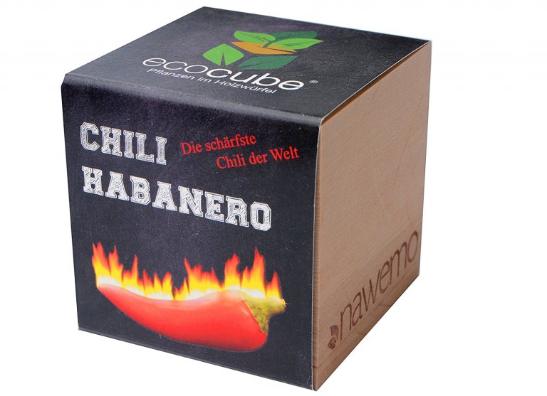 Chili anbauen, beste Chili selber machen, Chilianbau, Geschenke für Partner